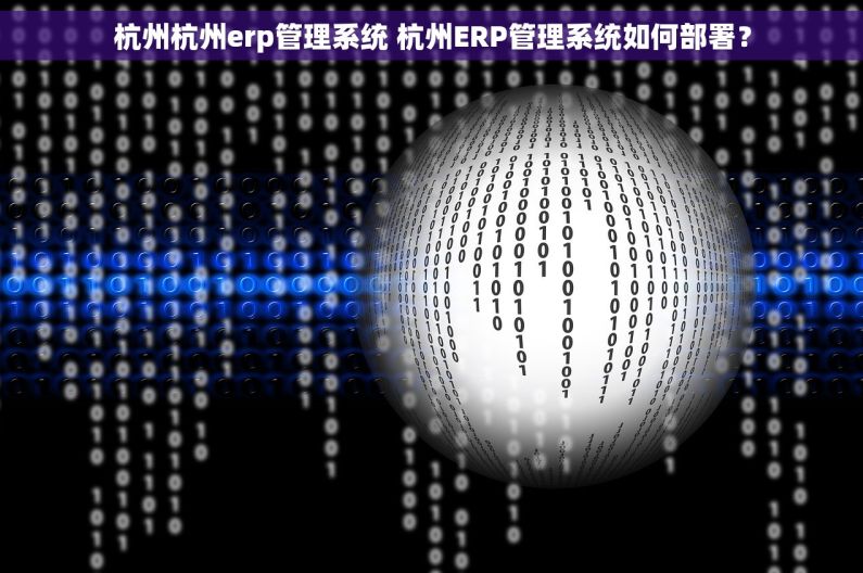 杭州杭州erp管理系统 杭州ERP管理系统如何部署？