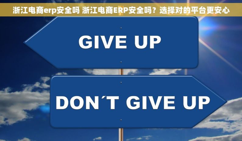 浙江电商erp安全吗 浙江电商ERP安全吗？选择对的平台更安心