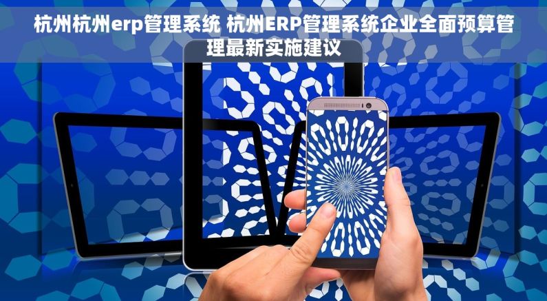 杭州杭州erp管理系统 杭州ERP管理系统企业全面预算管理最新实施建议