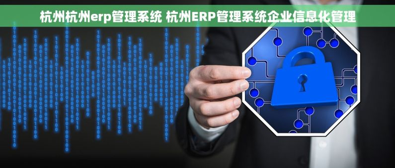 杭州杭州erp管理系统 杭州ERP管理系统企业信息化管理