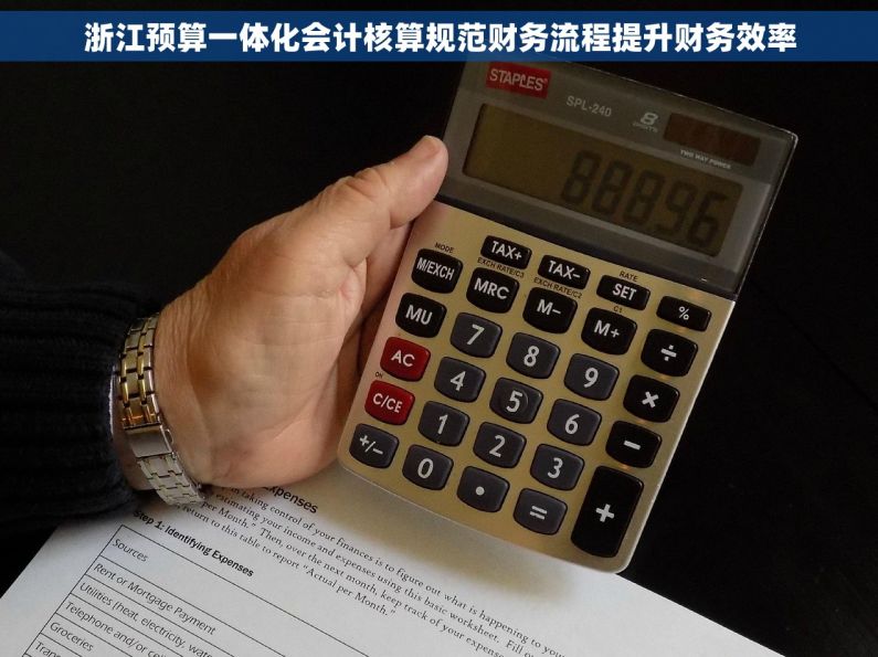 浙江预算一体化会计核算规范财务流程提升财务效率