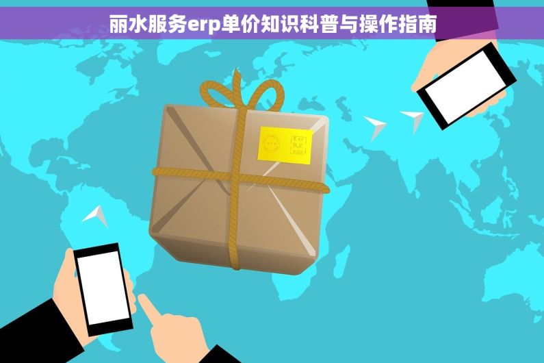 丽水服务erp单价知识科普与操作指南