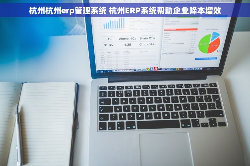 杭州杭州erp管理系统 杭州ERP系统帮助企业降本增效