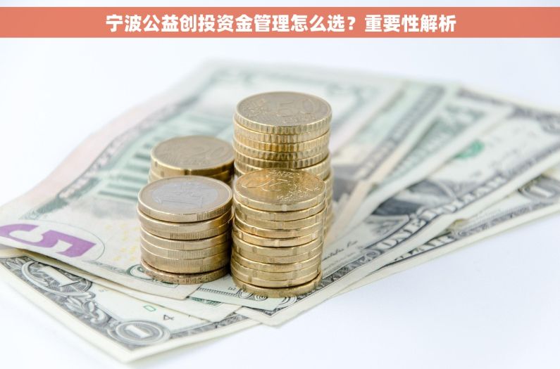 宁波公益创投资金管理怎么选？重要性解析