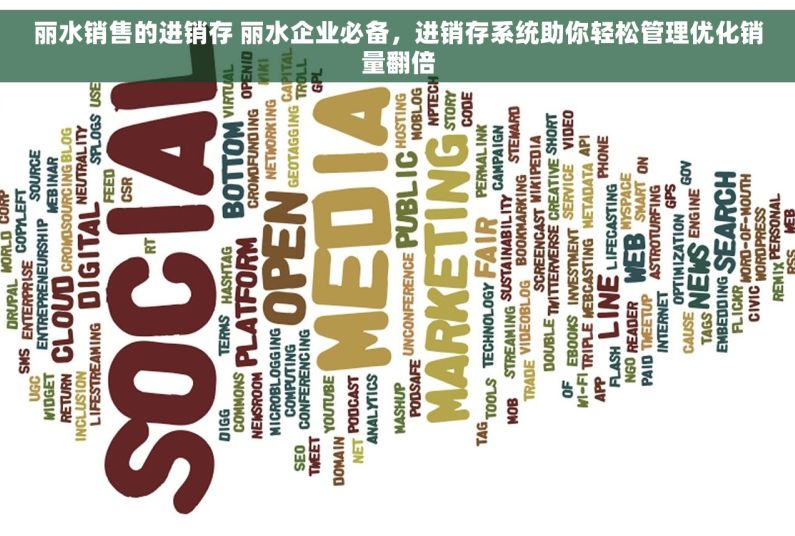 丽水销售的进销存 丽水企业必备，进销存系统助你轻松管理优化销量翻倍