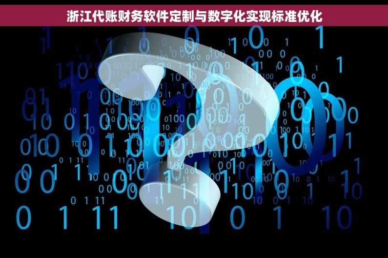 浙江代账财务软件定制与数字化实现标准优化