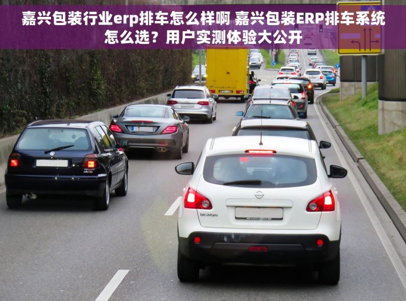 嘉兴包装行业erp排车怎么样啊 嘉兴包装ERP排车系统怎么选？用户实测体验大公开