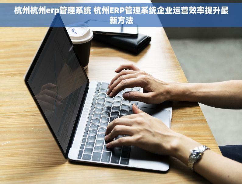 杭州杭州erp管理系统 杭州ERP管理系统企业运营效率提升最新方法