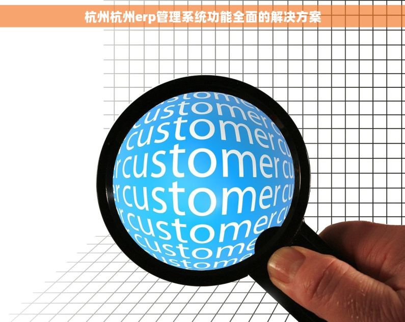 杭州杭州erp管理系统功能全面的解决方案