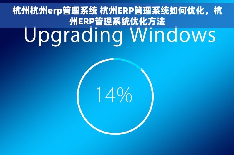 杭州杭州erp管理系统 杭州ERP管理系统如何优化，杭州ERP管理系统优化方法