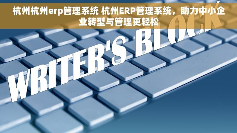 杭州杭州erp管理系统 杭州ERP管理系统，助力中小企业转型与管理更轻松