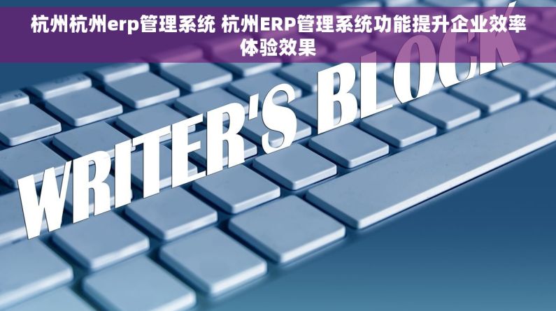 杭州杭州erp管理系统 杭州ERP管理系统功能提升企业效率体验效果
