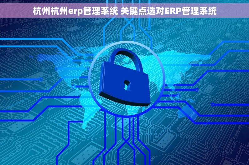 杭州杭州erp管理系统 关键点选对ERP管理系统