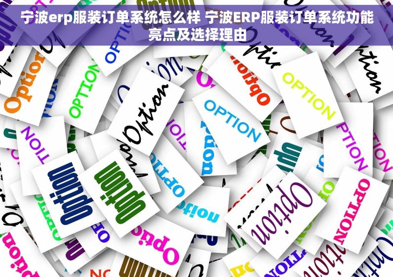 宁波erp服装订单系统怎么样 宁波ERP服装订单系统功能亮点及选择理由