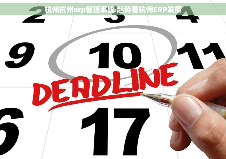 杭州杭州erp管理系统 趋势看杭州ERP发展