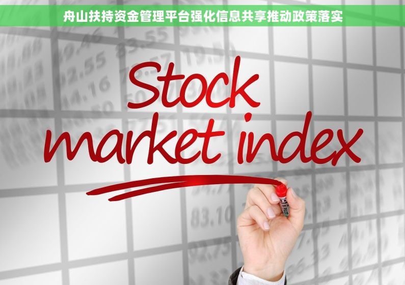 舟山扶持资金管理平台强化信息共享推动政策落实
