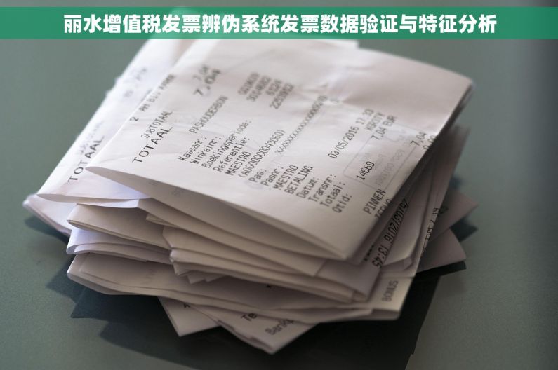 丽水增值税发票辨伪系统发票数据验证与特征分析