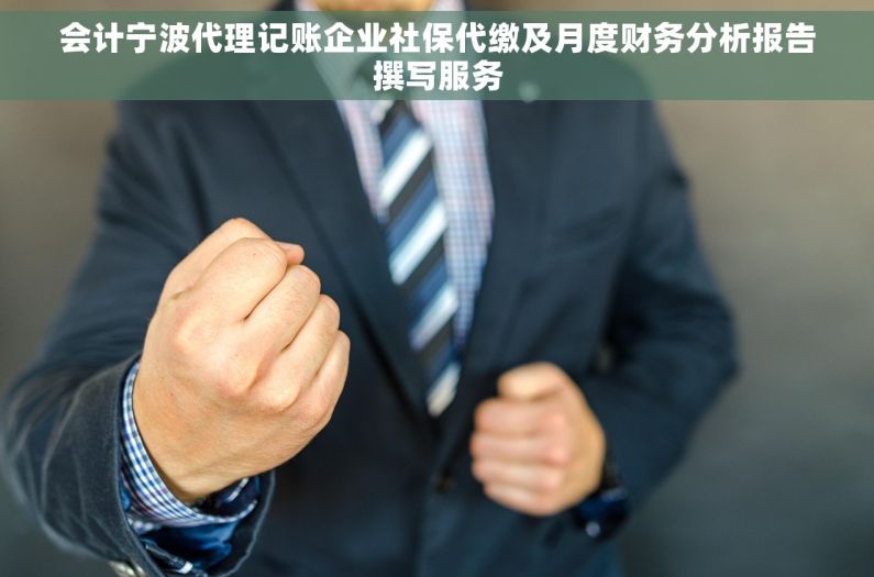 会计宁波代理记账企业社保代缴及月度财务分析报告撰写服务