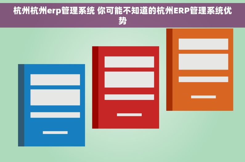 杭州杭州erp管理系统 你可能不知道的杭州ERP管理系统优势