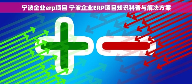 宁波企业erp项目 宁波企业ERP项目知识科普与解决方案