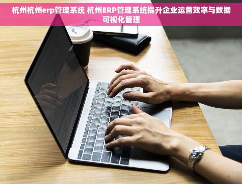 杭州杭州erp管理系统 杭州ERP管理系统提升企业运营效率与数据可视化管理