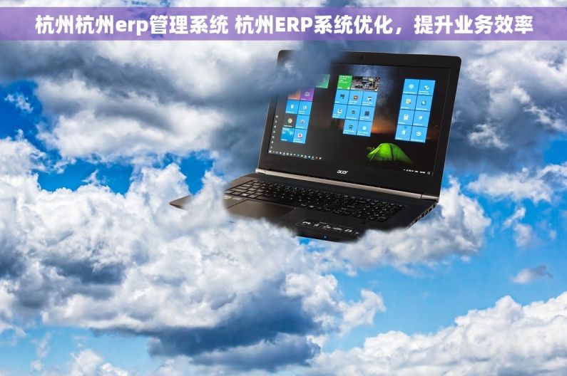 杭州杭州erp管理系统 杭州ERP系统优化，提升业务效率