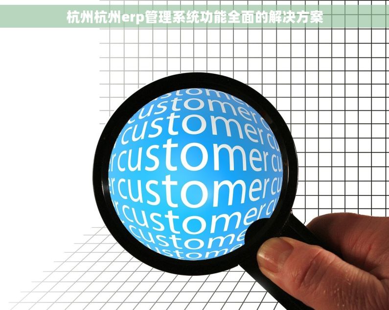 杭州杭州erp管理系统功能全面的解决方案