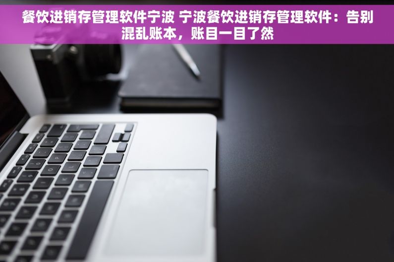 餐饮进销存管理软件宁波 宁波餐饮进销存管理软件：告别混乱账本，账目一目了然