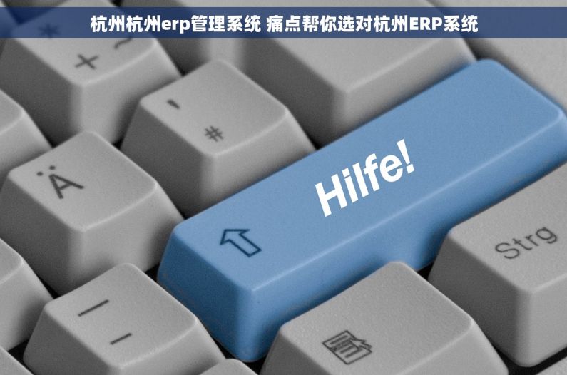 杭州杭州erp管理系统 痛点帮你选对杭州ERP系统