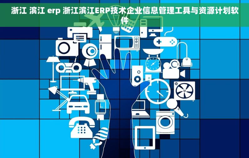 浙江 滨江 erp 浙江滨江ERP技术企业信息管理工具与资源计划软件