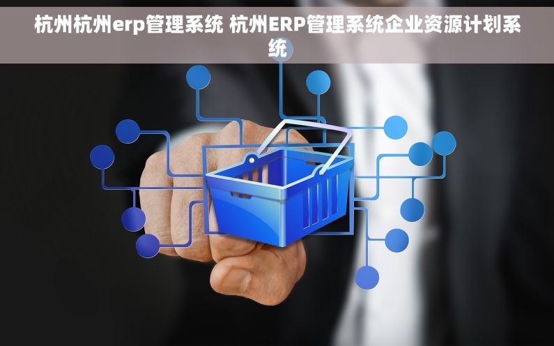 杭州杭州erp管理系统 杭州ERP管理系统企业资源计划系统