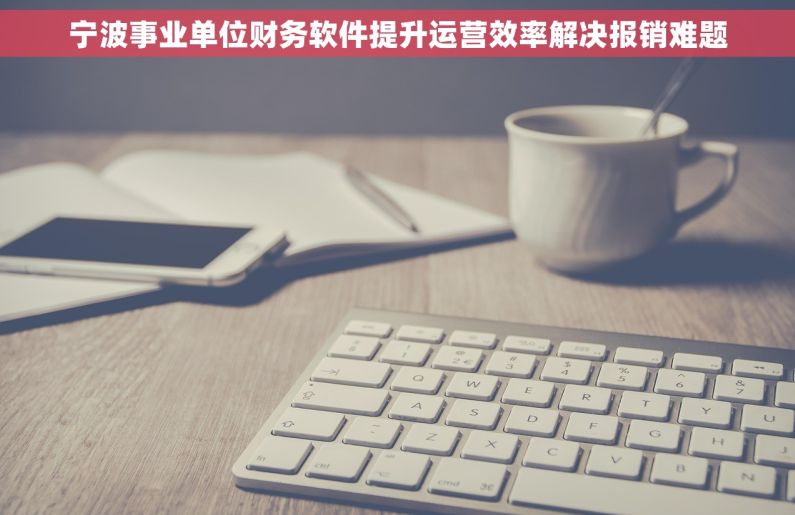 宁波事业单位财务软件提升运营效率解决报销难题