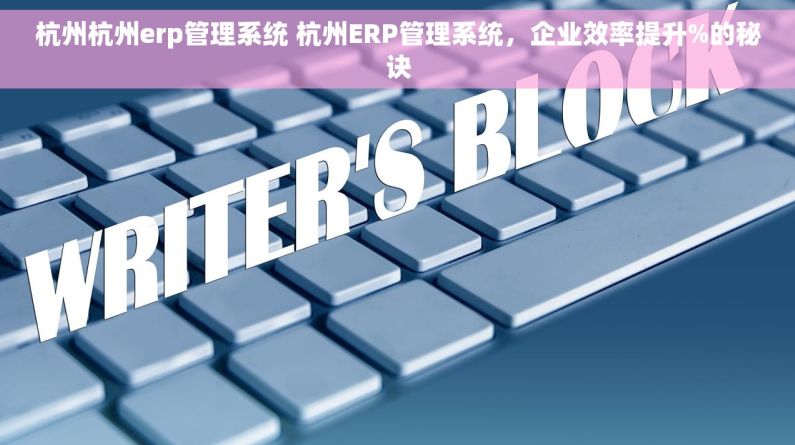 杭州杭州erp管理系统 杭州ERP管理系统，企业效率提升%的秘诀