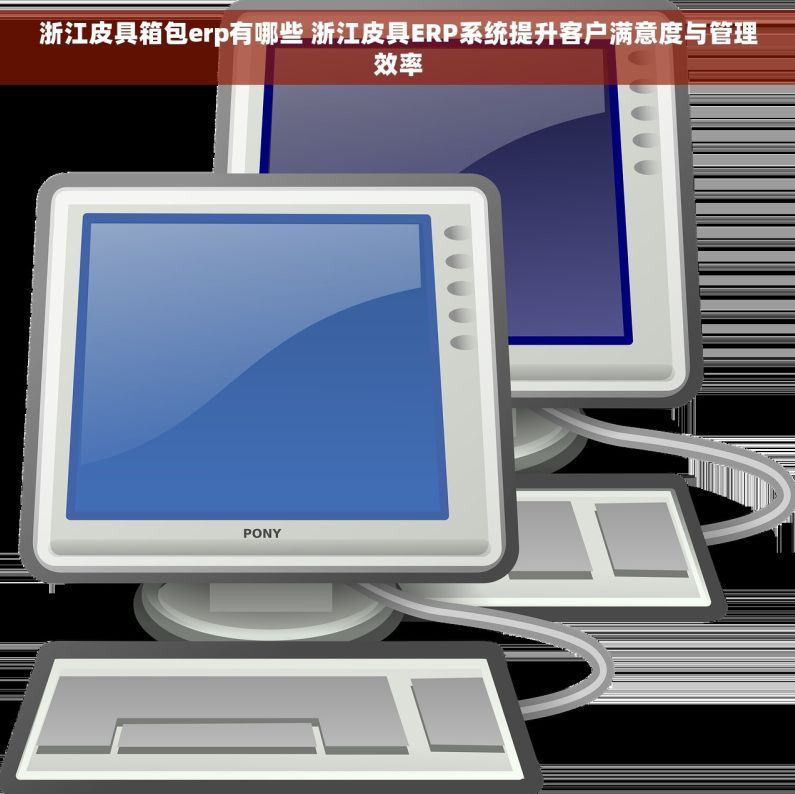 浙江皮具箱包erp有哪些 浙江皮具ERP系统提升客户满意度与管理效率
