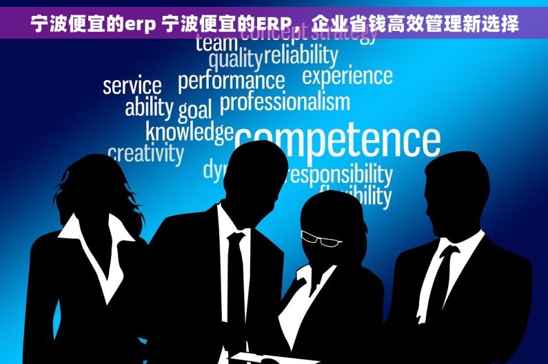 宁波便宜的erp 宁波便宜的ERP，企业省钱高效管理新选择