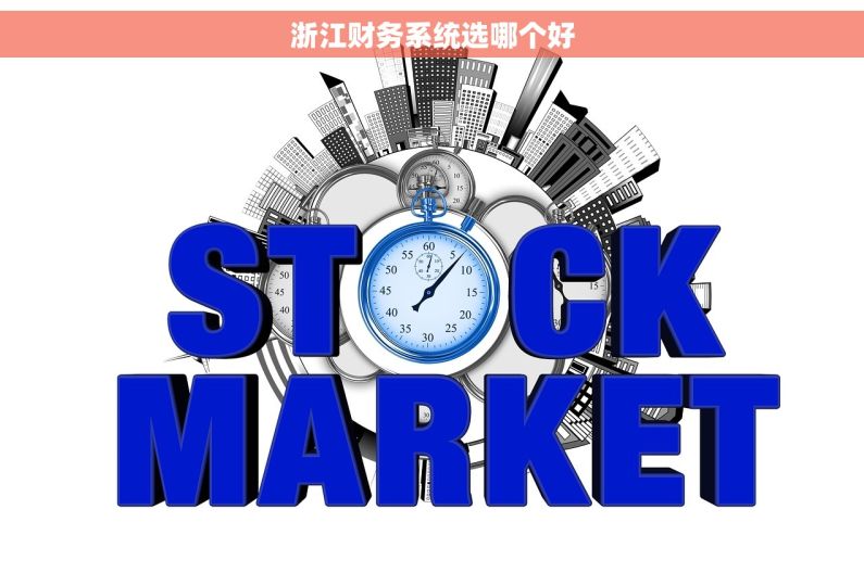浙江财务系统选哪个好