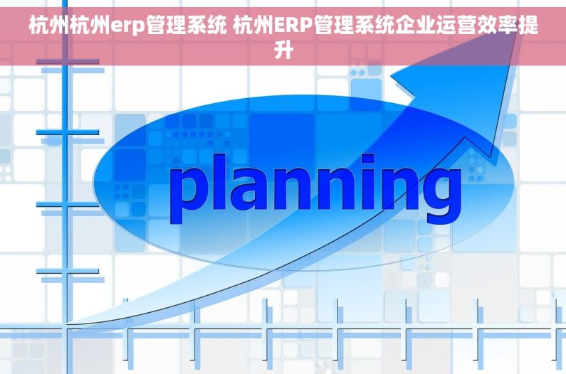 杭州杭州erp管理系统 杭州ERP管理系统企业运营效率提升