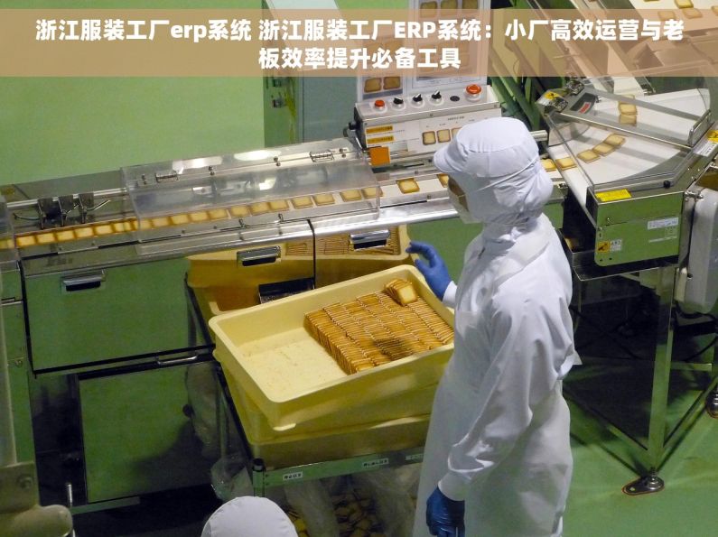 浙江服装工厂erp系统 浙江服装工厂ERP系统：小厂高效运营与老板效率提升必备工具
