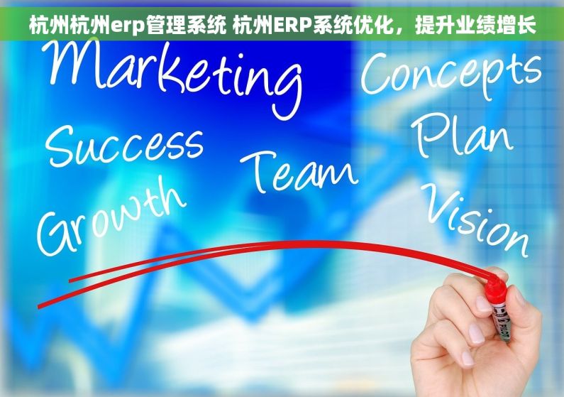 杭州杭州erp管理系统 杭州ERP系统优化，提升业绩增长