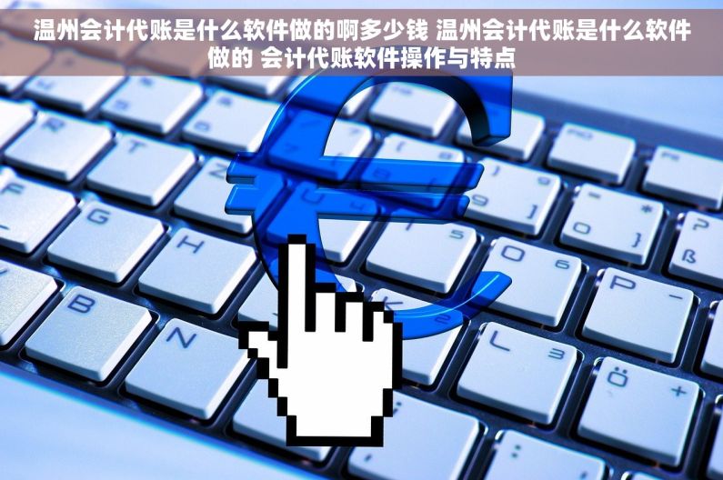 温州会计代账是什么软件做的啊多少钱 温州会计代账是什么软件做的 会计代账软件操作与特点
