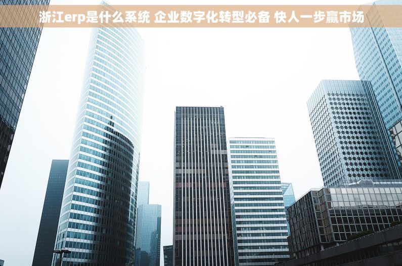 浙江erp是什么系统 企业数字化转型必备 快人一步赢市场