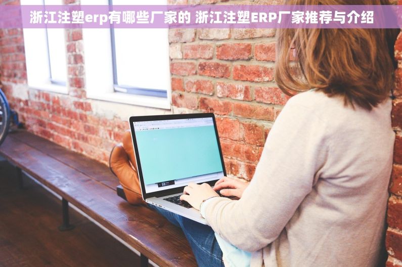 浙江注塑erp有哪些厂家的 浙江注塑ERP厂家推荐与介绍