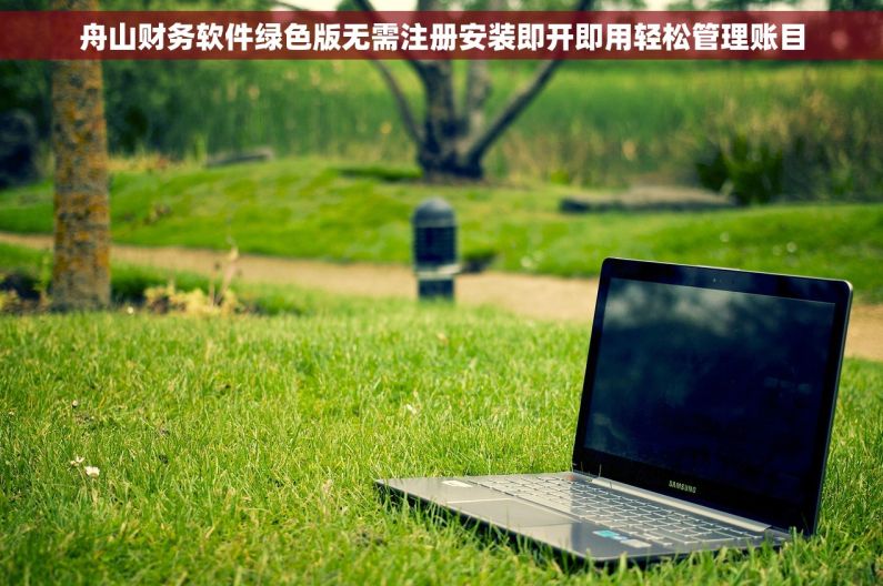 舟山财务软件绿色版无需注册安装即开即用轻松管理账目
