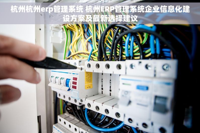 杭州杭州erp管理系统 杭州ERP管理系统企业信息化建设方案及最新选择建议
