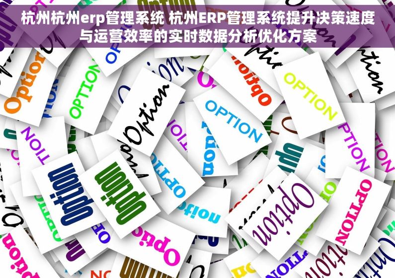 杭州杭州erp管理系统 杭州ERP管理系统提升决策速度与运营效率的实时数据分析优化方案