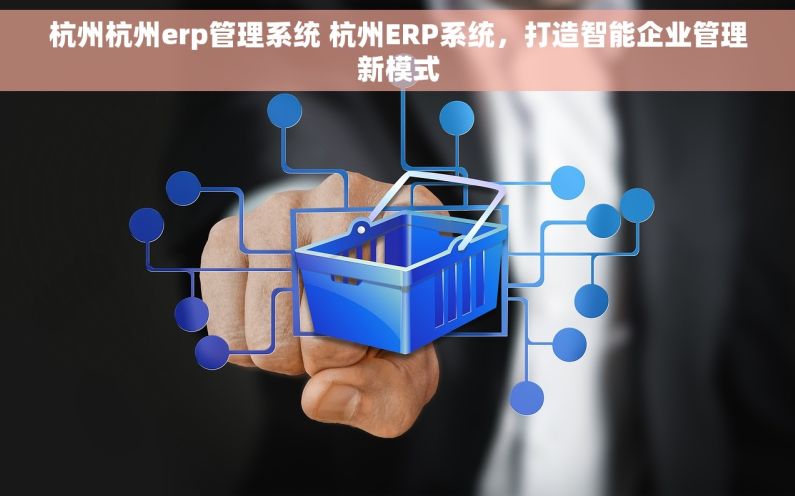 杭州杭州erp管理系统 杭州ERP系统，打造智能企业管理新模式
