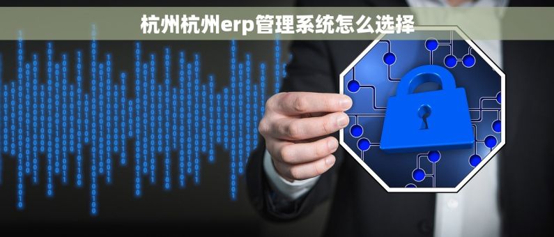 杭州杭州erp管理系统怎么选择
