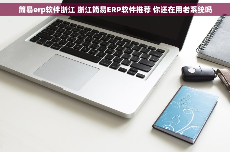 简易erp软件浙江 浙江简易ERP软件推荐 你还在用老系统吗