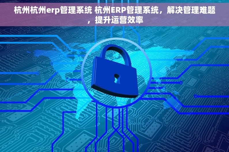 杭州杭州erp管理系统 杭州ERP管理系统，解决管理难题，提升运营效率