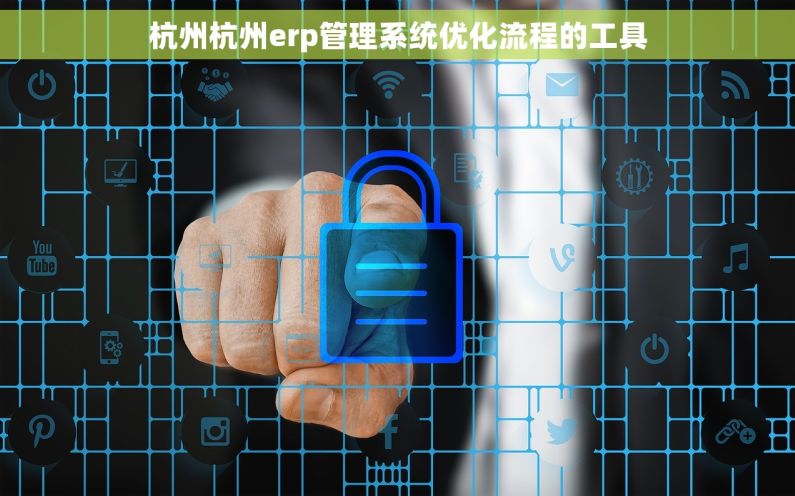 杭州杭州erp管理系统优化流程的工具